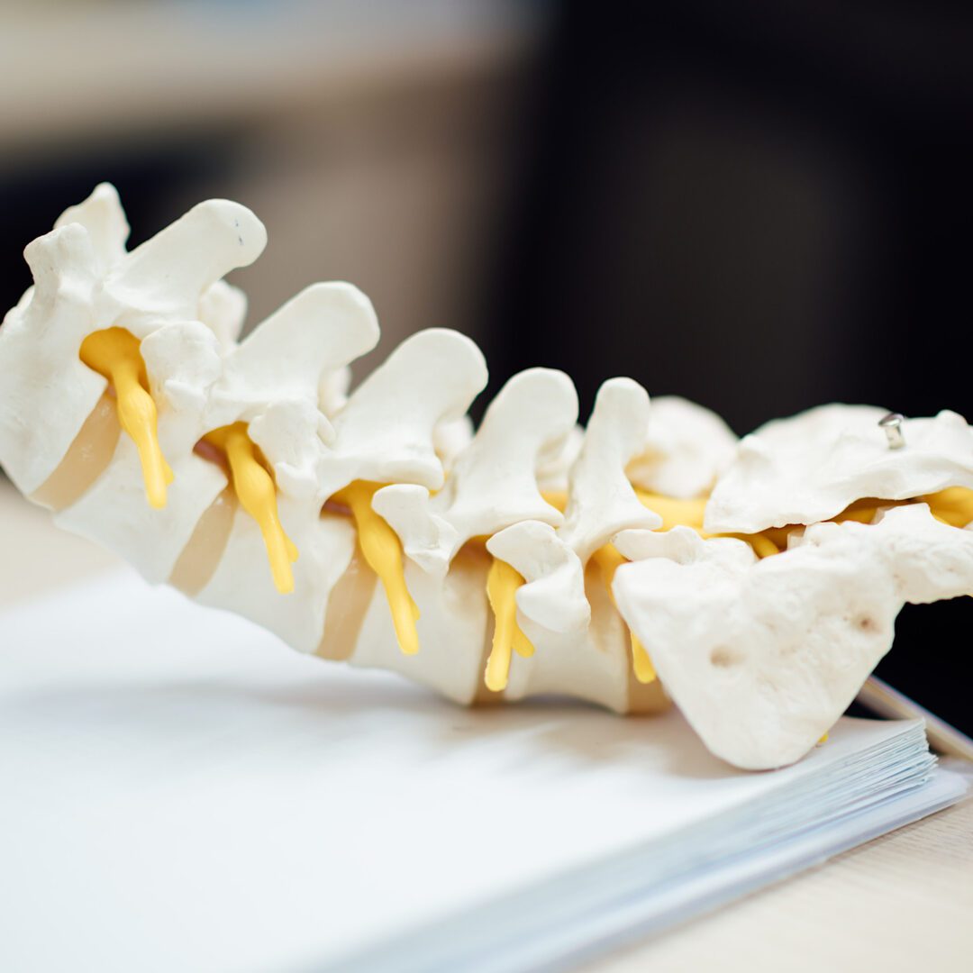 A model of the cervical spine on top of a book.